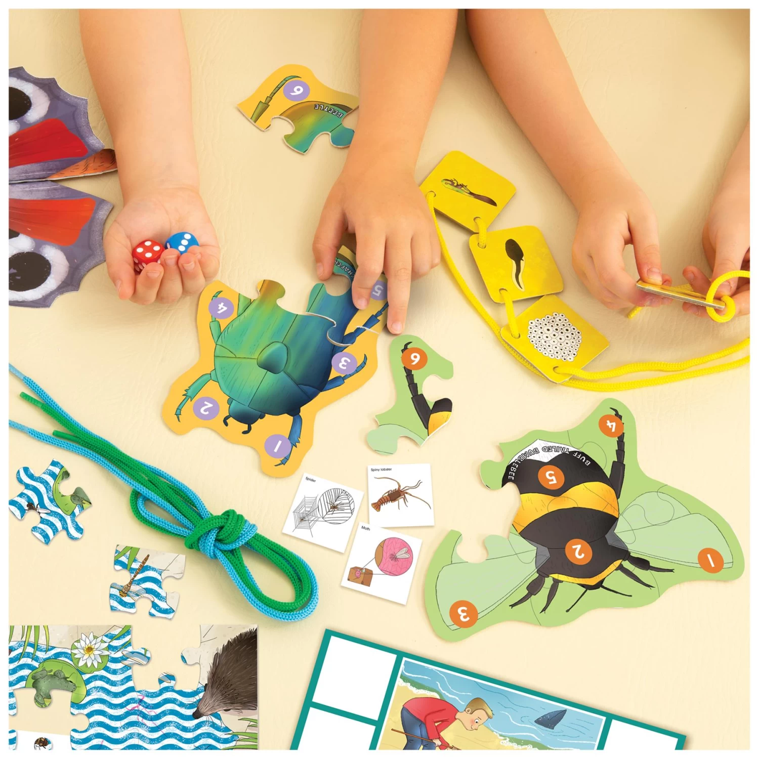 Jumbo Natural History Museum Let's Learn Tiny Creatures Activity Pack - Image 5