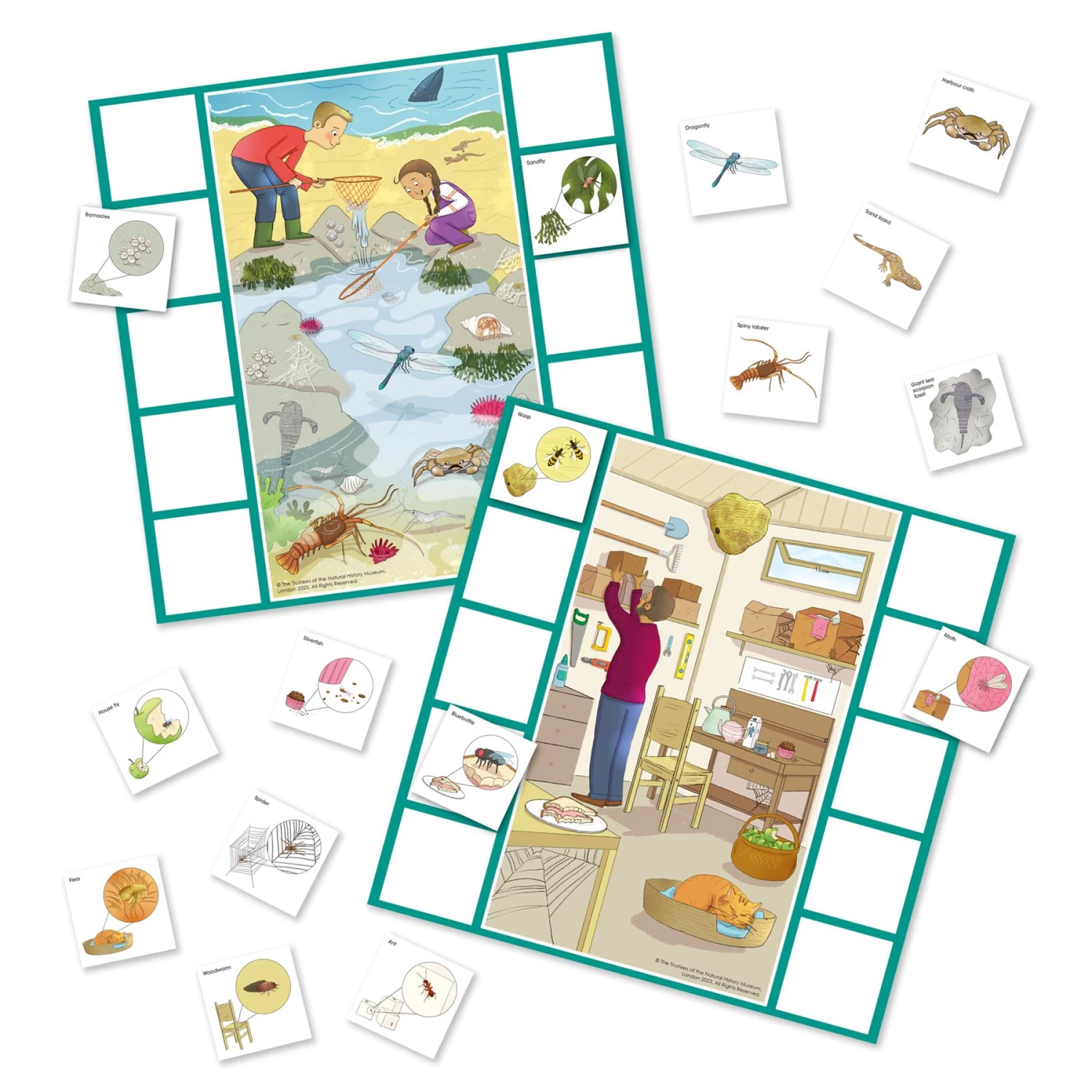 Jumbo Natural History Museum Let's Learn Tiny Creatures Activity Pack - Image 10