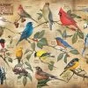 Popular Backyard Wild Birds Of North America 1000 Piece Jigsaw Puzzle