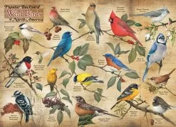 Popular Backyard Wild Birds Of North America 1000 Piece Jigsaw Puzzle