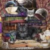 Schmidt Brigid Ashwood: Storytime Cats 1000 Piece Jigsaw Puzzle
