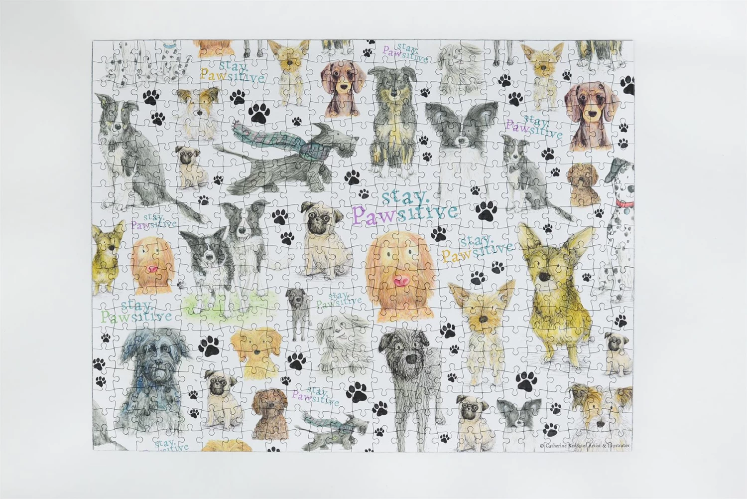 Stay Pawsitive 500 Piece Jigsaw Puzzle - Image 3