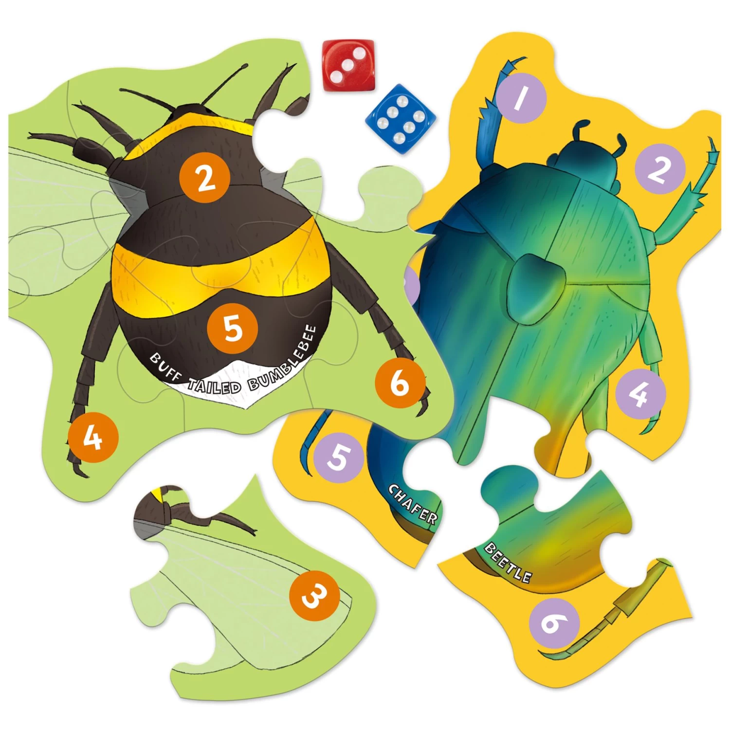 Jumbo Natural History Museum Let's Learn Tiny Creatures Activity Pack - Image 6