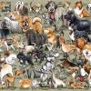 It's Just... Dogs! 1000 Piece Jigsaw Puzzle