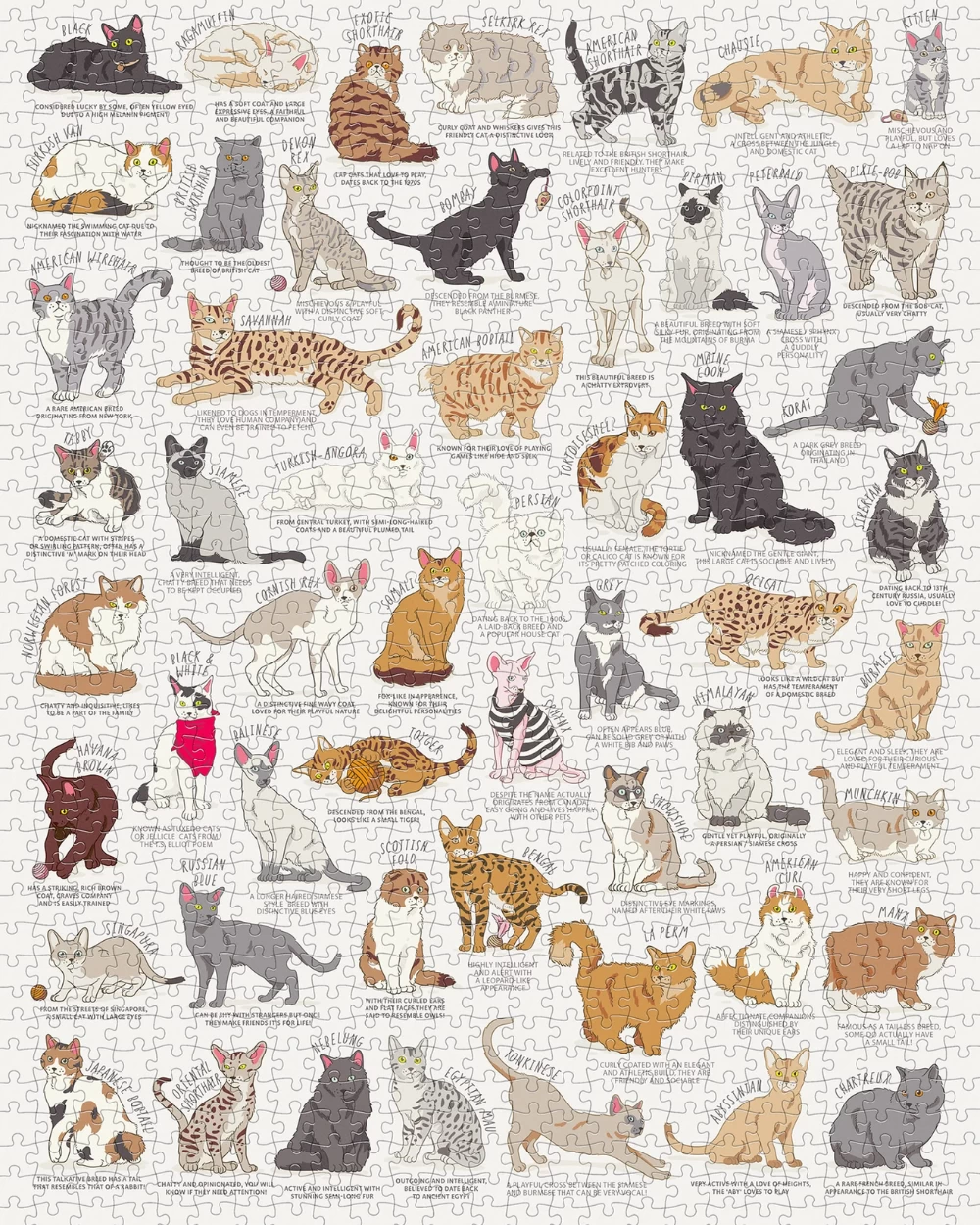Cat Lover's Jigsaw 1000 Piece Jigsaw Puzzle - Image 2