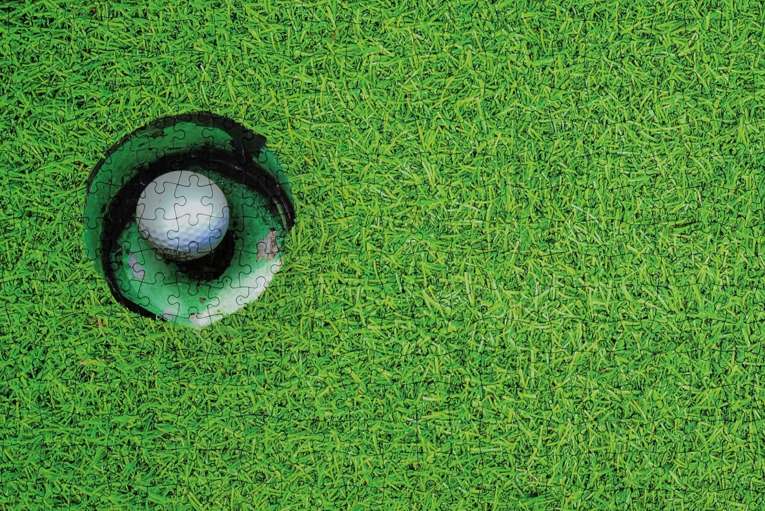 A Hole In One- Impuzzible No.43 - 1000 Piece Jigsaw Puzzle - Image 10