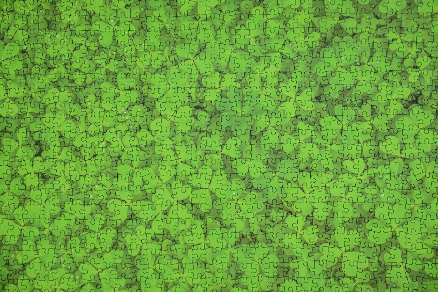 Find The Four Leaf Clover Impuzzible No.44 - 1000 Piece Jigsaw Puzzle - Image 7