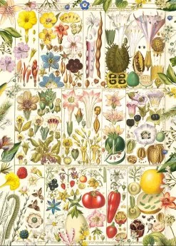 Gibsons RHS: Botanical Bliss 1000 Piece Jigsaw Puzzle