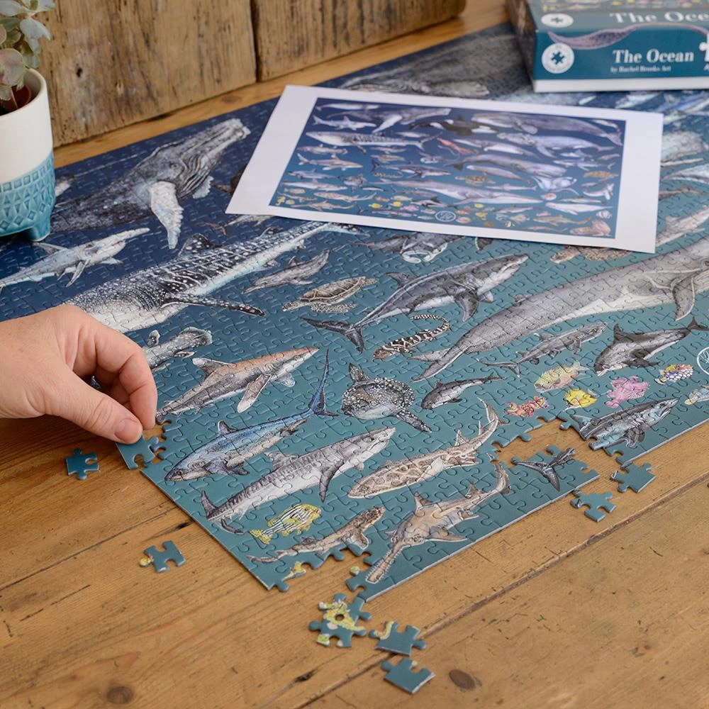 The Ocean 1000 Piece Jigsaw Puzzle - Image 8