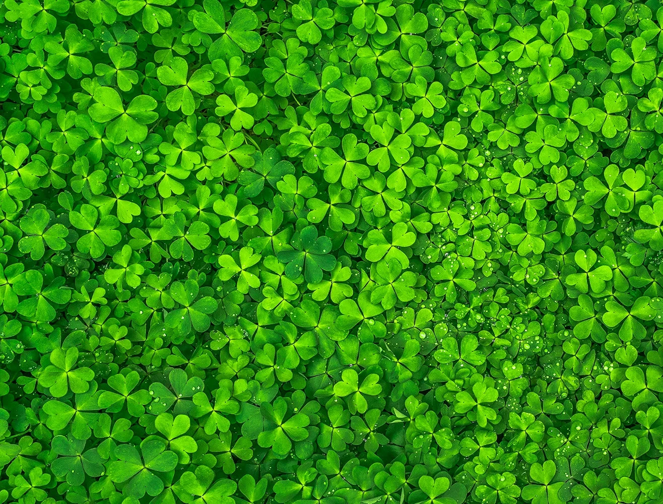 Find The Four Leaf Clover Impuzzible No.44 - 1000 Piece Jigsaw Puzzle