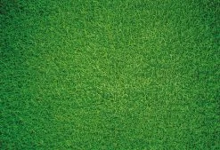 Natural Grass - Impuzzible No.7 - 1000 Or 500 Piece Jigsaw Puzzle