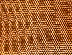 In The Hive - Impuzzible No. 20 - 1000 Piece Jigsaw Puzzle