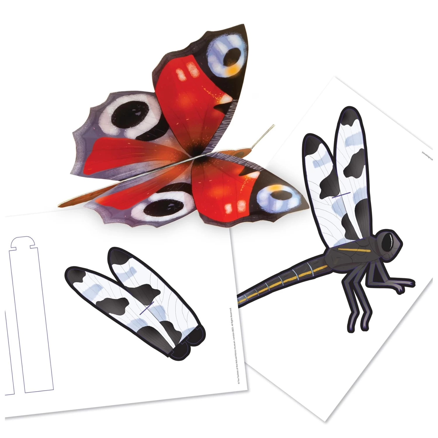 Jumbo Natural History Museum Let's Learn Tiny Creatures Activity Pack - Image 7