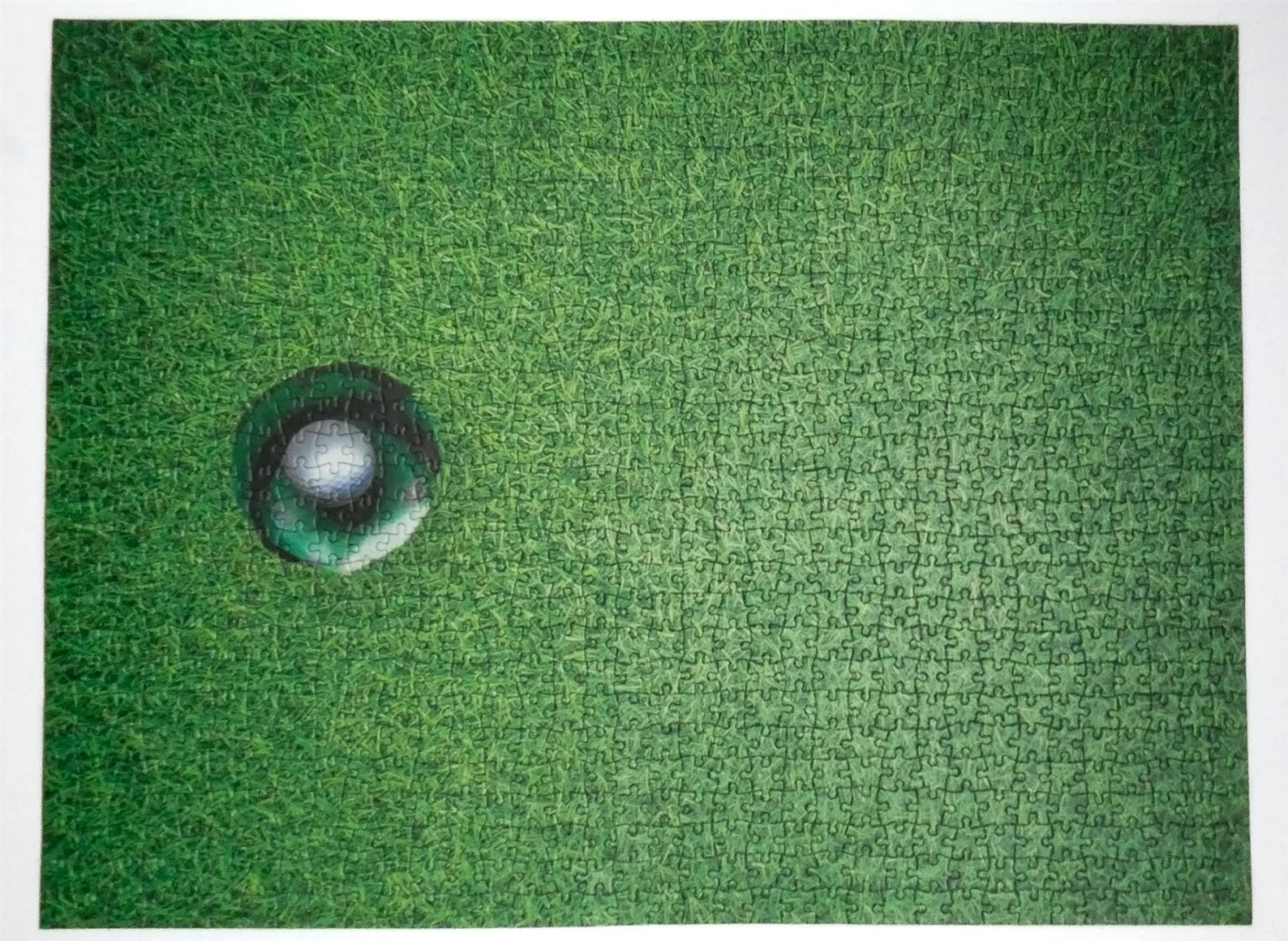 A Hole In One- Impuzzible No.43 - 1000 Piece Jigsaw Puzzle - Image 5
