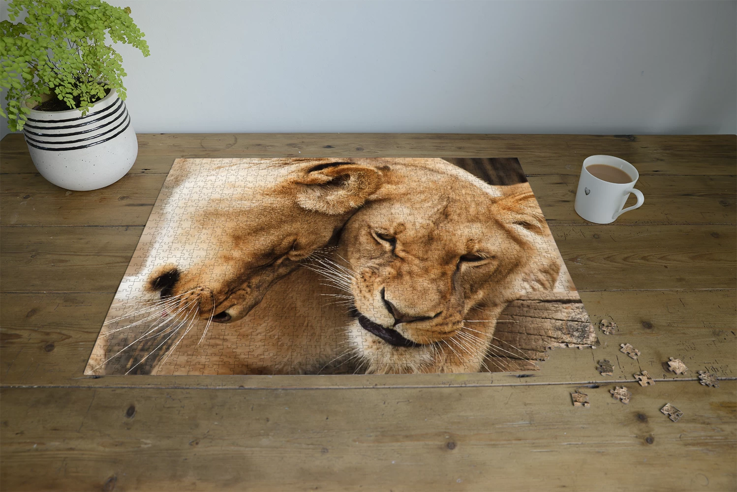 Lioness 1000 Piece Jigsaw Puzzle - Image 3